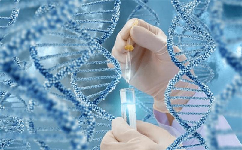大学生想试管代怀-大学生试管代怀:新生代的选择?